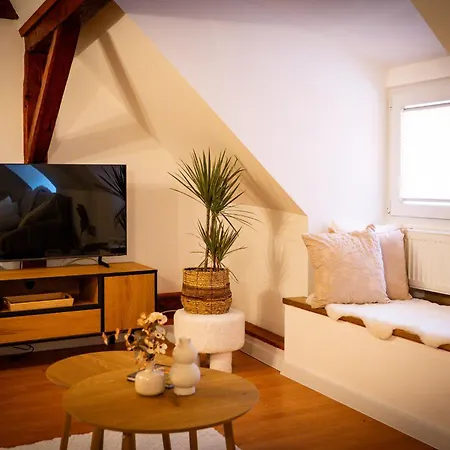 Nordic Boutique Guest house Brasov