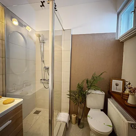 Guest house Nordic Boutique Brasov