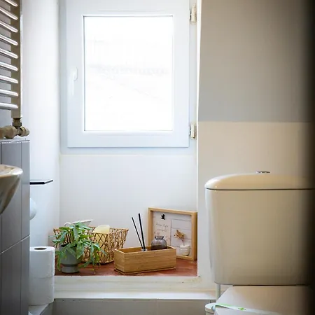 Nordic Boutique 3* Brasov