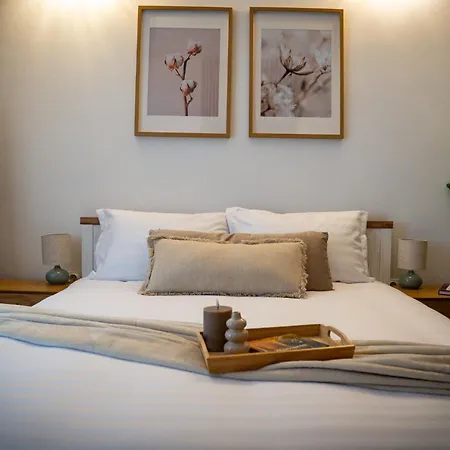 Guest house Nordic Boutique Brasov