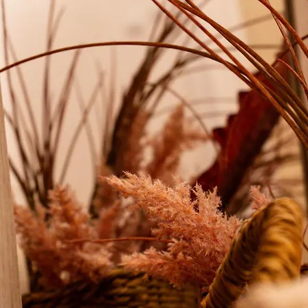Nordic Boutique Guest house Brasov