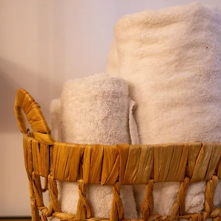 Guest house Nordic Boutique Brasov