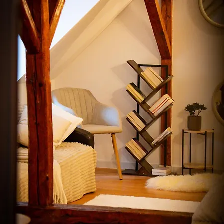 Guest house Nordic Boutique Brasov